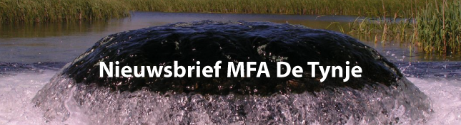 Header interne nieuwsbrief